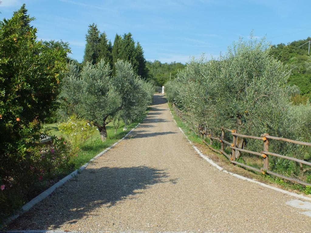 Agriturismo Ai Mandrioli Ластра а Синя Екстериор снимка